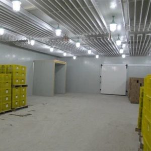 3 Ton Meat Cold Storage Room