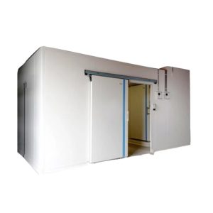 2 Ton Dairy Cold Storage Room