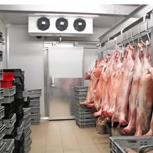 2 Ton Meat Cold Storage Room